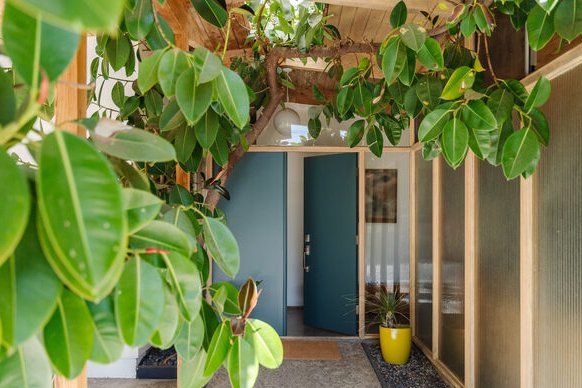 Planted entry of 10289 Oletha Ln, a Los Angeles property represented by Jeff Wong